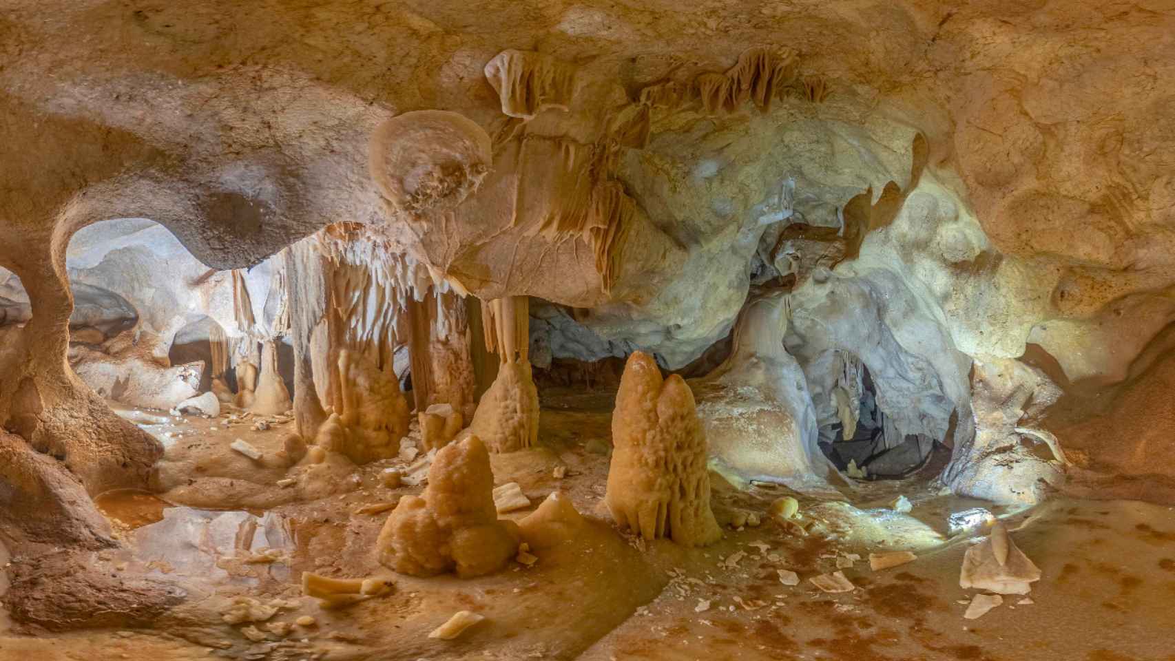 Una de las imágenes tomadas de la cueva de La Araña.