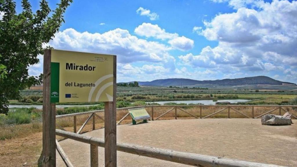 Imagen de la laguna de Fuente de Piedra.