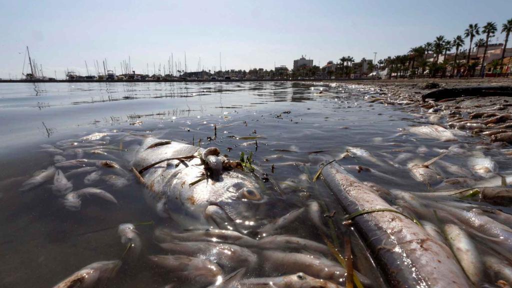 Aspecto del Mar Menor en los Urritias, Cartagena.