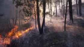 Incendio en un pinar de Galicia en 2020.