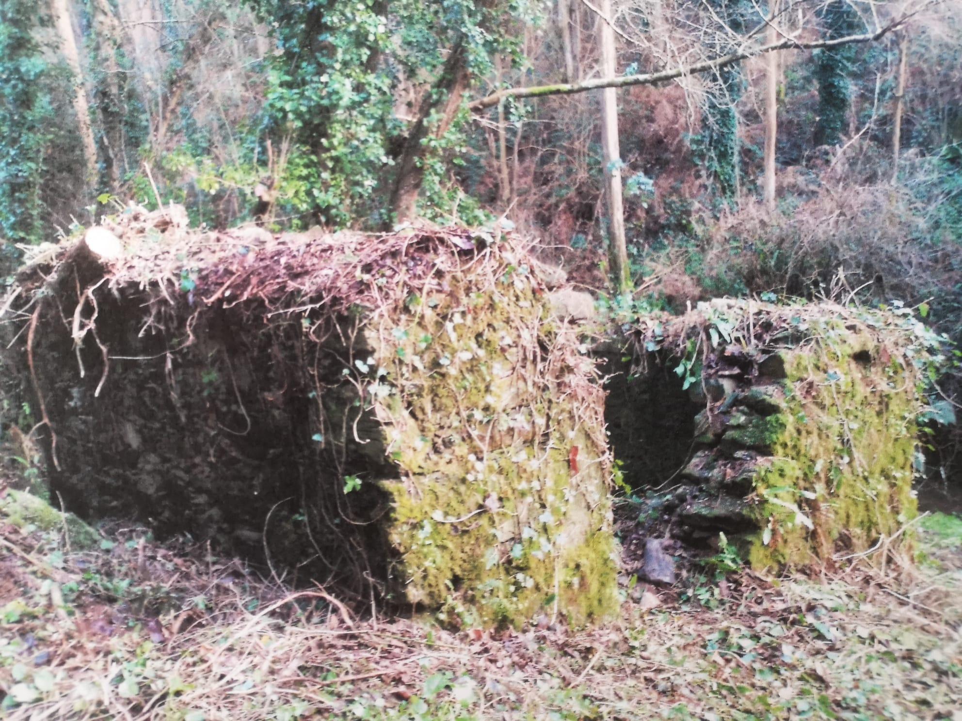 Molinos en la senda de Arteixo (Concello de Arteixo).