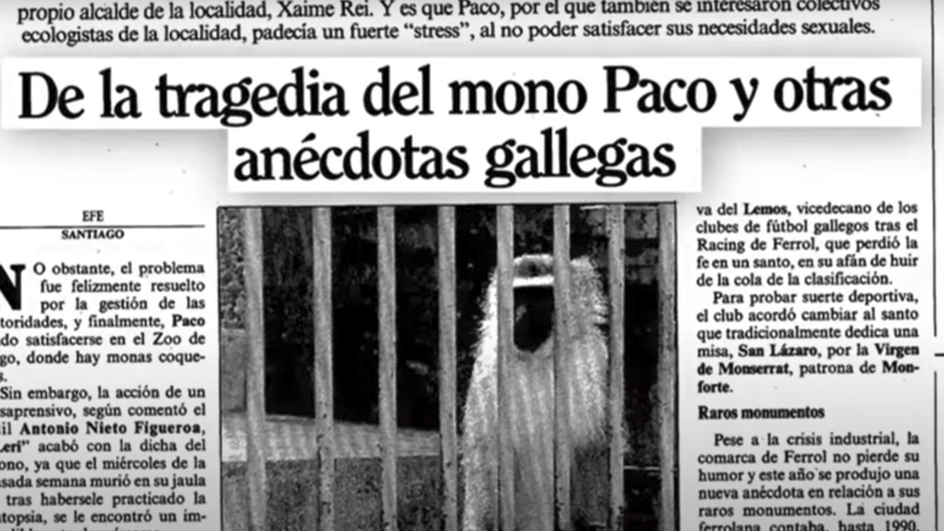 Imagen del documental El mono Paco