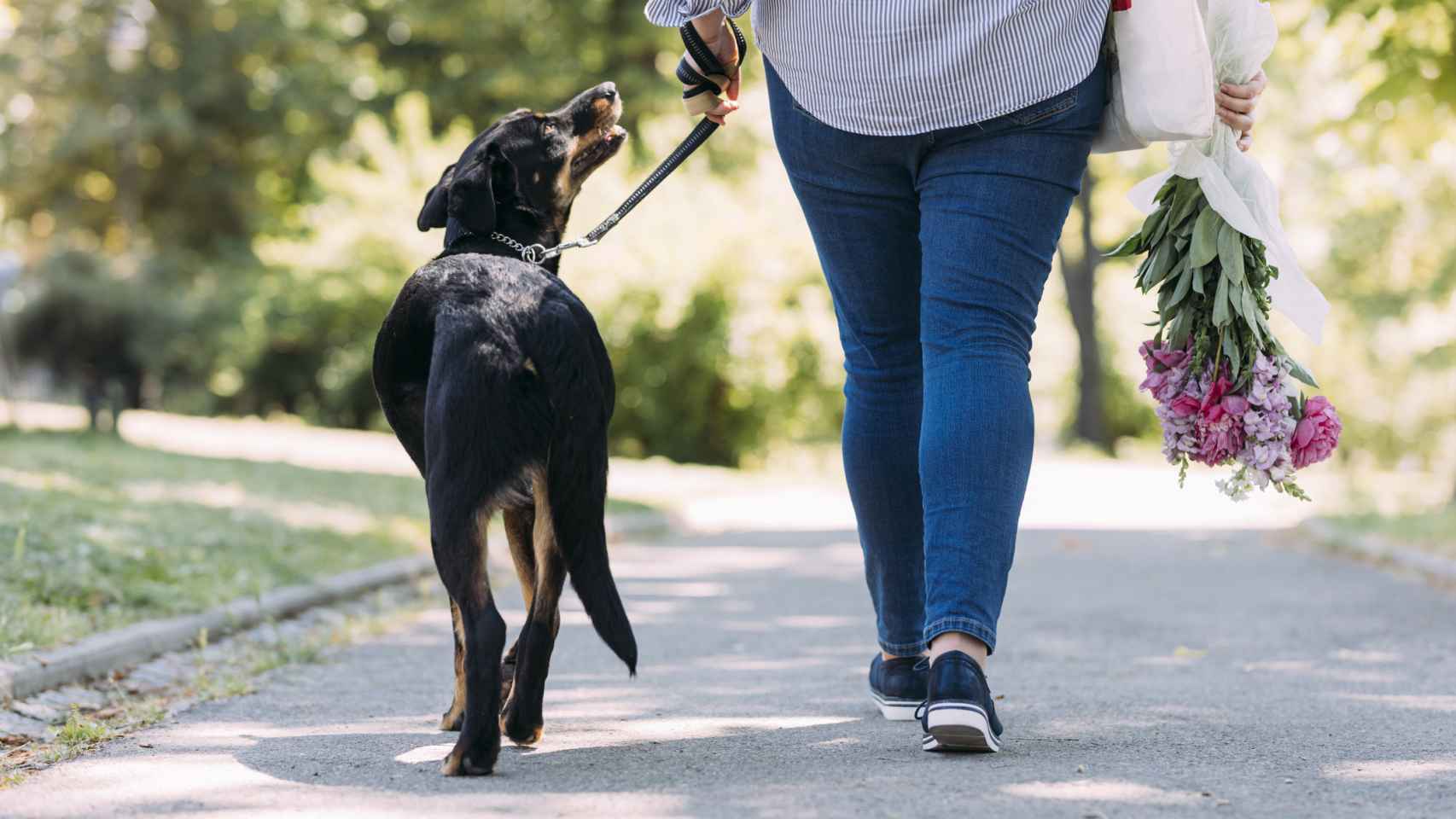 Una persona obesa pasea a su perro.
