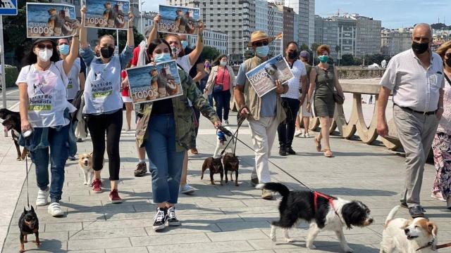 Marcha canina en Riazor (A Coruña) para pedir el acceso total de animales a las playas