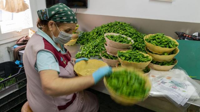 Carmucha Lago seleccionando los pimientos para vender.