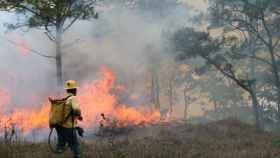El Gobierno declara a Castilla-La Mancha zona gravemente afectada por los incendios forestales