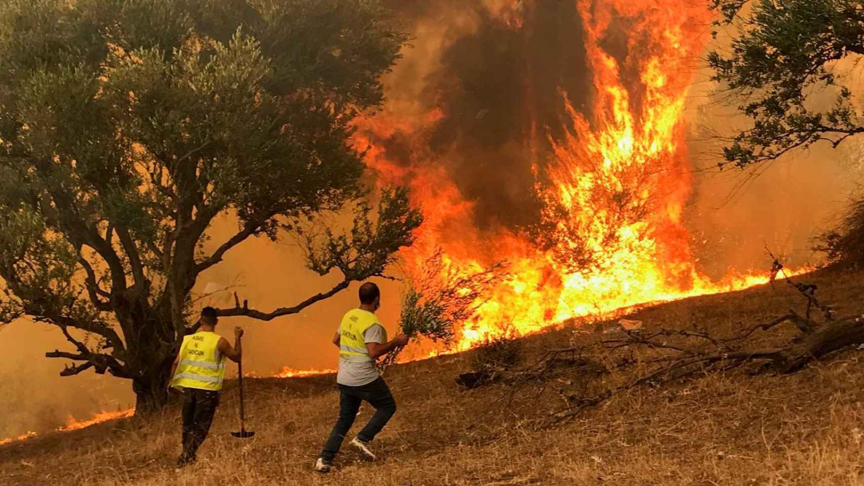 Los incendios en la Cabilia argelina se han cobrado casi un centenar de vidas.