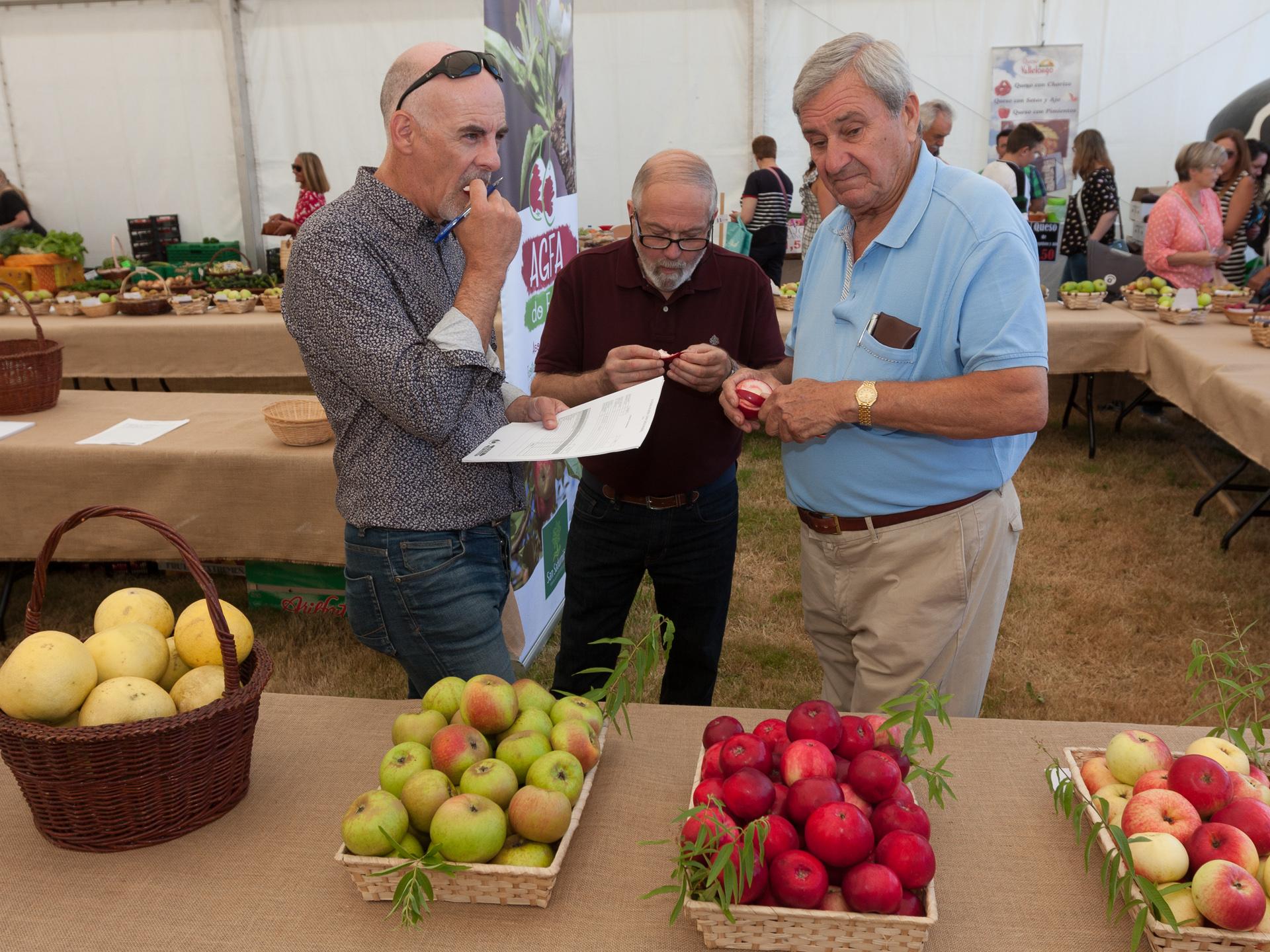 Foto de archivo del concurso de lotes de fruta. Foto: César Galdo.