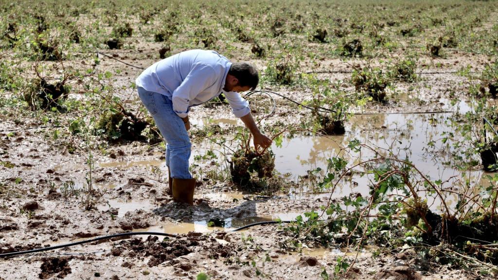 Paco Núñez en Arenas de San Gregorio. Foto: PP de Castilla-La Mancha