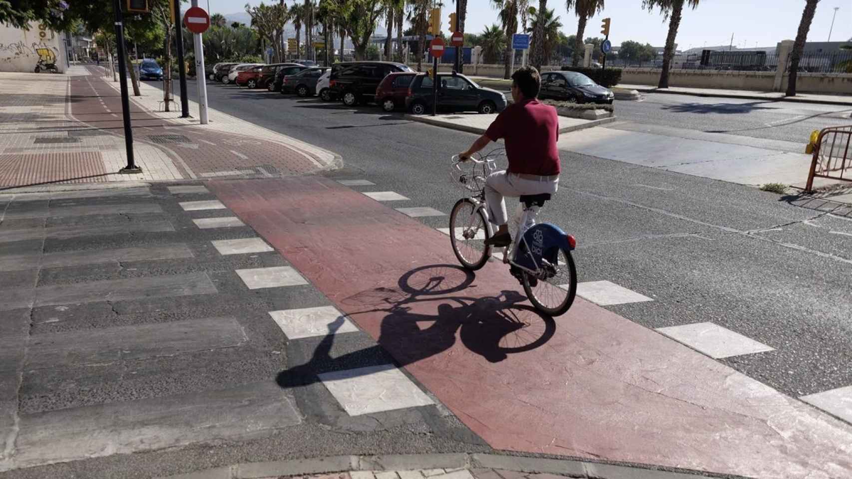 Un ciclista circula por uno de los carriles existentes en Málaga capital.