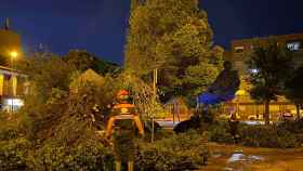 Balance de daños tras la gran tormenta en Alcázar de San Juan: árboles caídos, balsas de agua...