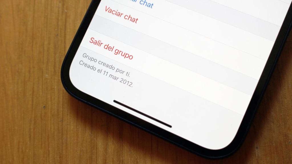 Así es cómo se muestra la información de un grupo de WhatsApp (en iOS).