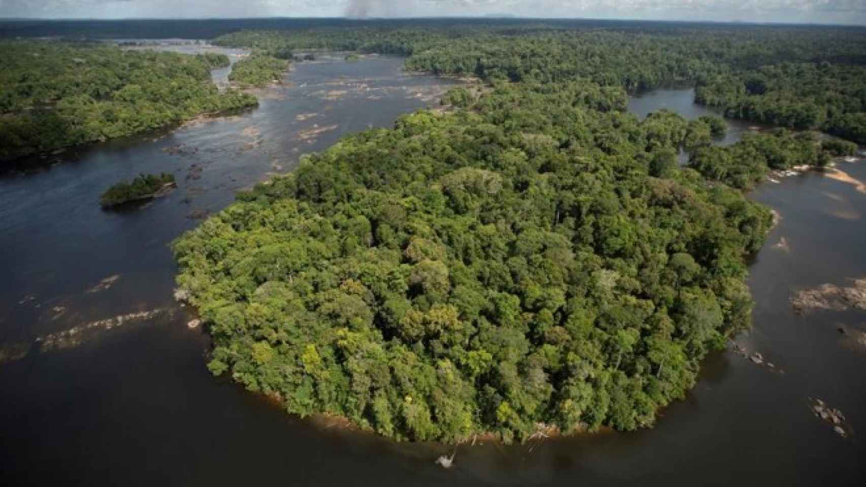 Vista de la selva amazónica junto a la Guayana Francesa y Brasil.