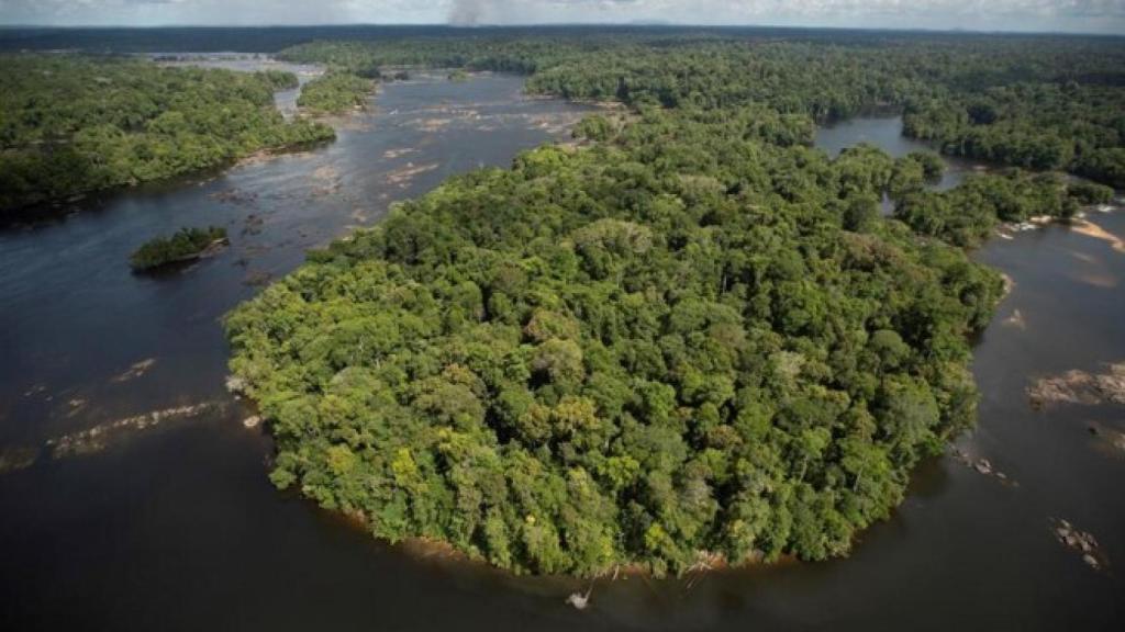 Vista de la selva amazónica junto a la Guayana Francesa y Brasil.