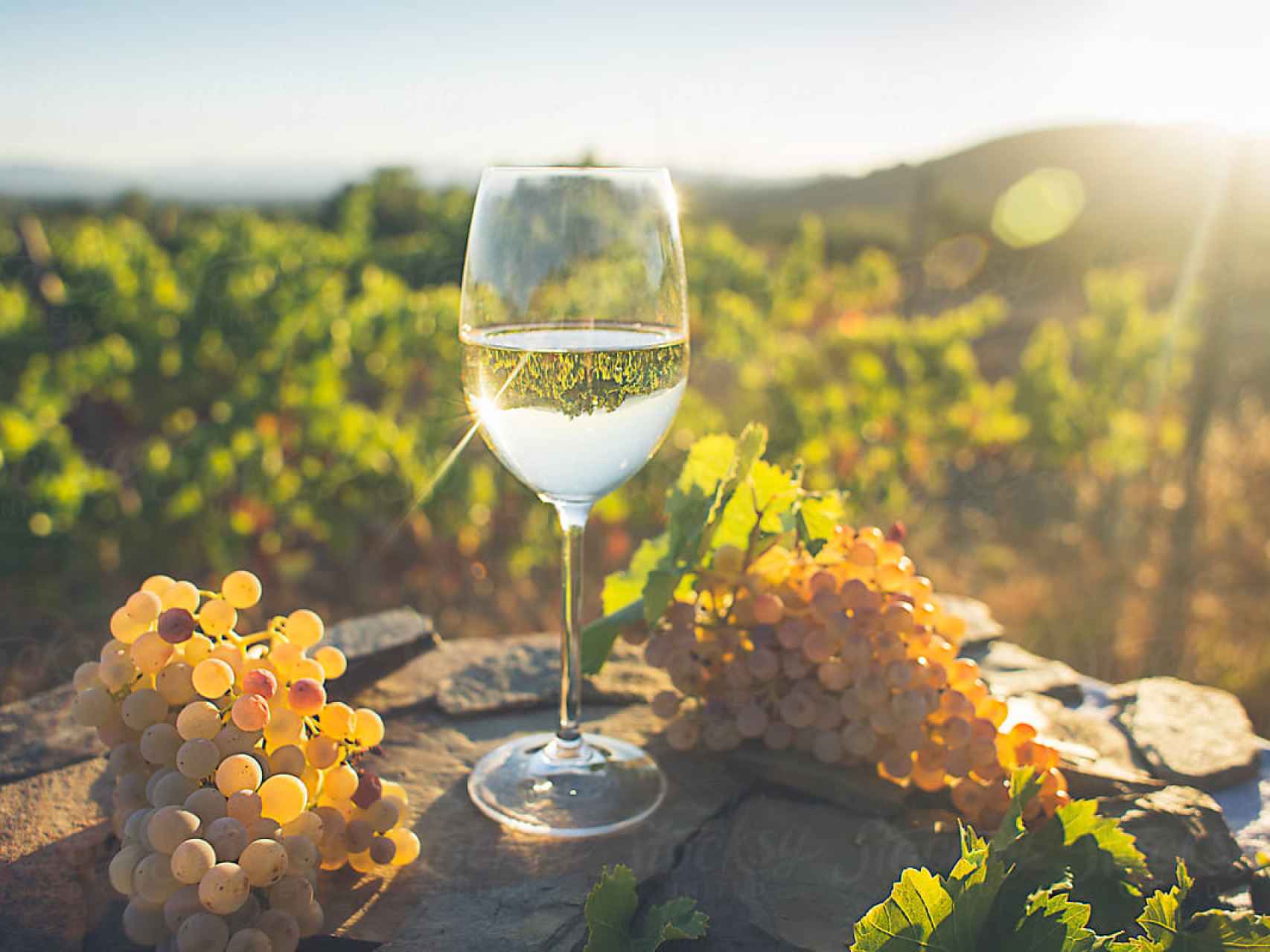 La variedad de uva tiene que ver en la intensidad de un vino blanco.