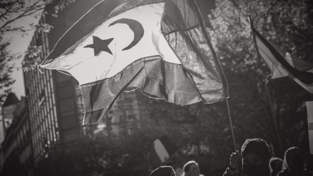 El conflicto en el Sáhara y sus repercusiones económicas para España