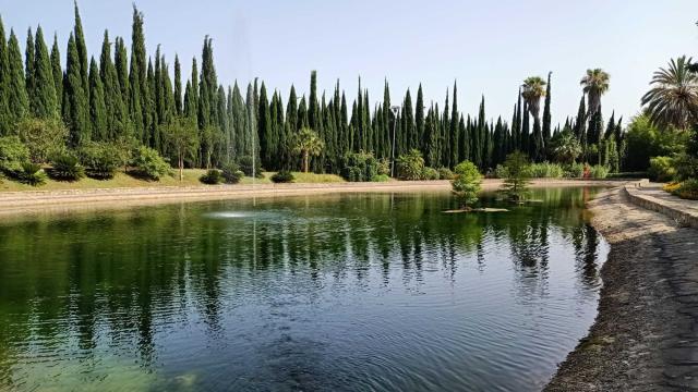 Una imagen del lago de Jardín de la Concepción.