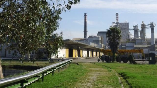 La planta de biomasa de Puertollano. Foto: Ence.