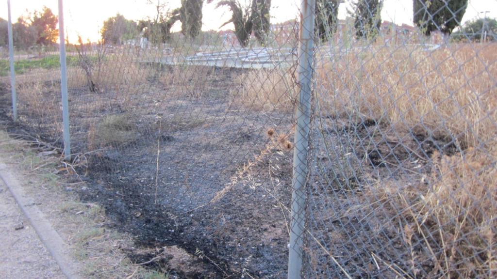 Pasto quemado junto al velódromo del Polígono de Toledo. Foto: AA. VV. El Tajo.