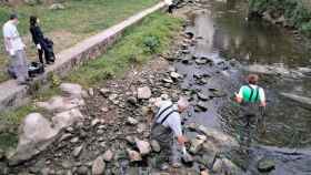 La 21 campaña de Vaipolorío culmina con la retirada de 655 kilos de residuos del río Gafos en Pontevedra.