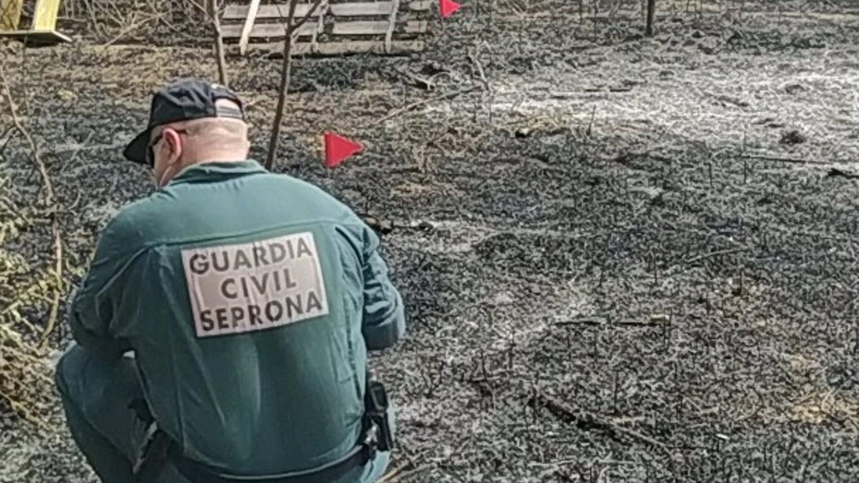 Foto: Guardia Civil