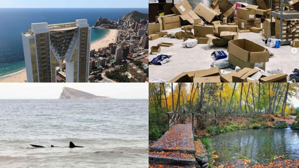 Estos han sido los diez temas más leídos del mes en El Español de Alicante
