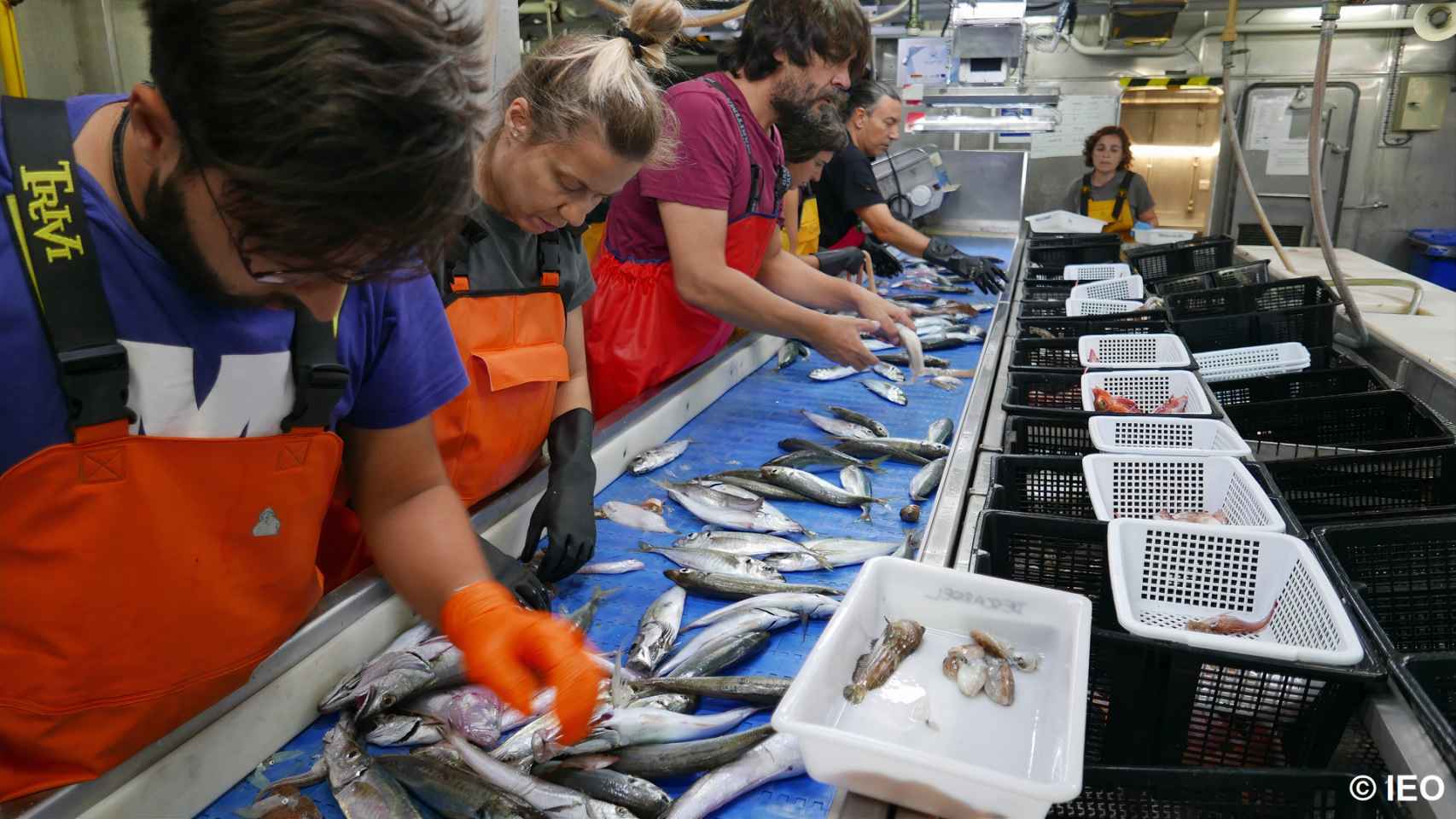 Investigadores del Oceanográfico de Vigo estudiarán mejoras para la pesca de arrastre