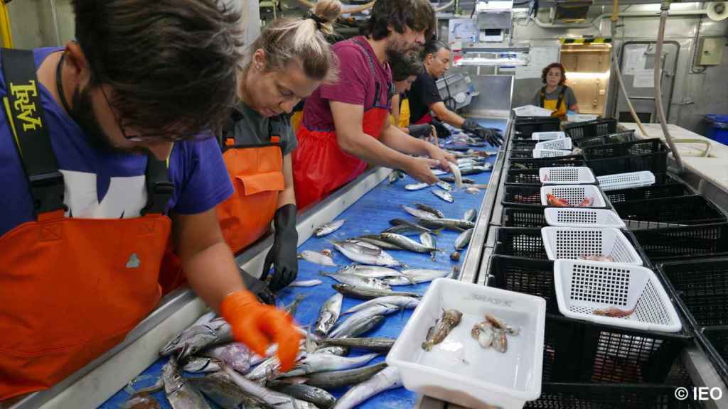 Investigadores del Oceanográfico de Vigo estudiarán mejoras para la pesca de arrastre