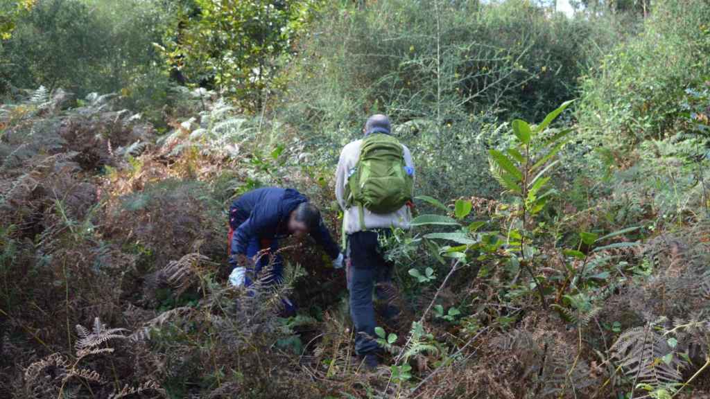 Tomiño (Pontevedra) pone en marcha el plan de prevención contra incendios