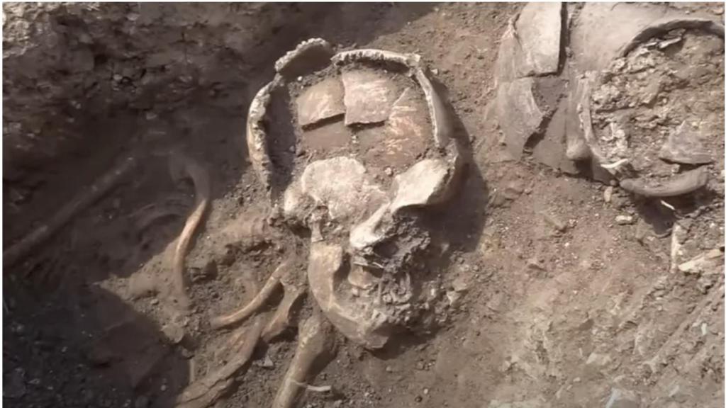 Restos de uno de los esqueletos hallados en Rumanía.