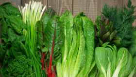 Varias verduras de hoja verde.
