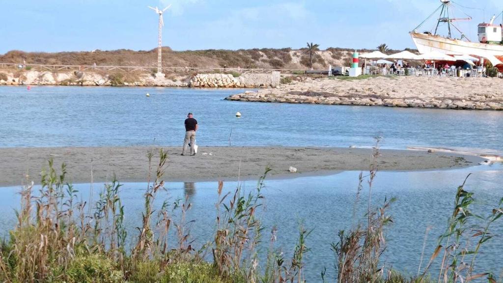 La duna de arena en la bocana del puerto de Guardamar.