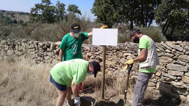Voluntariado en la provincia de Salamanca