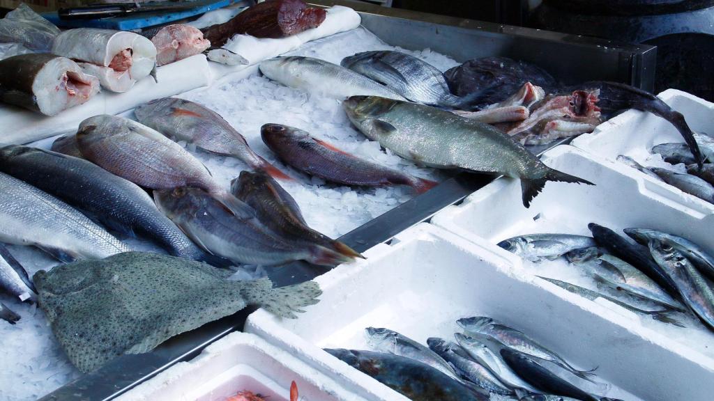 Pescados conservados en hielo en el punto de venta.