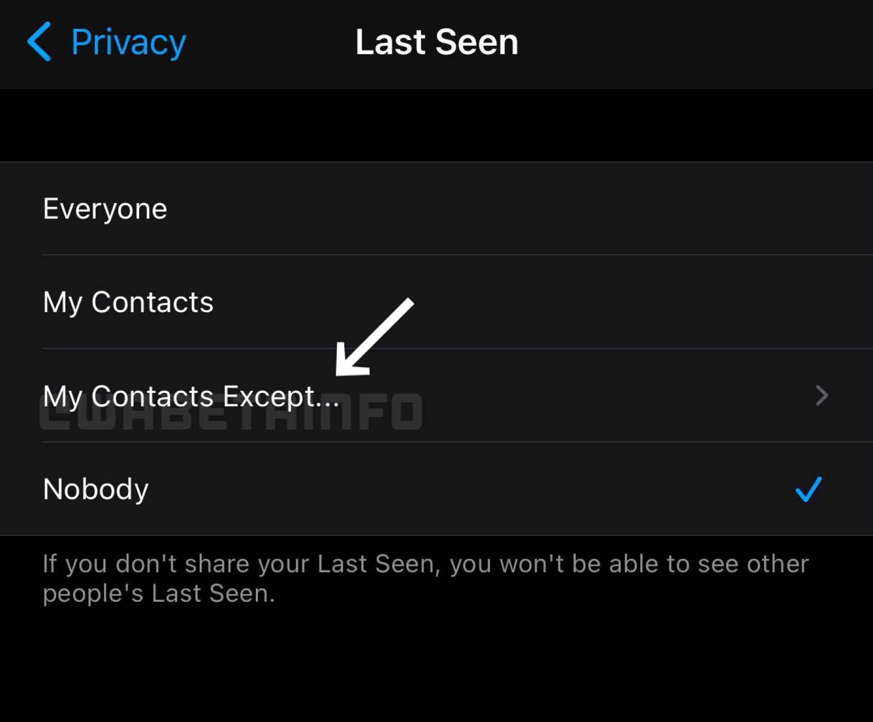 Nueva opcion de privacidad en WhatsApp