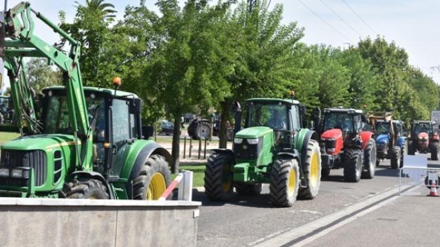 Manifestación de ganaderos en Talavera de la Reina