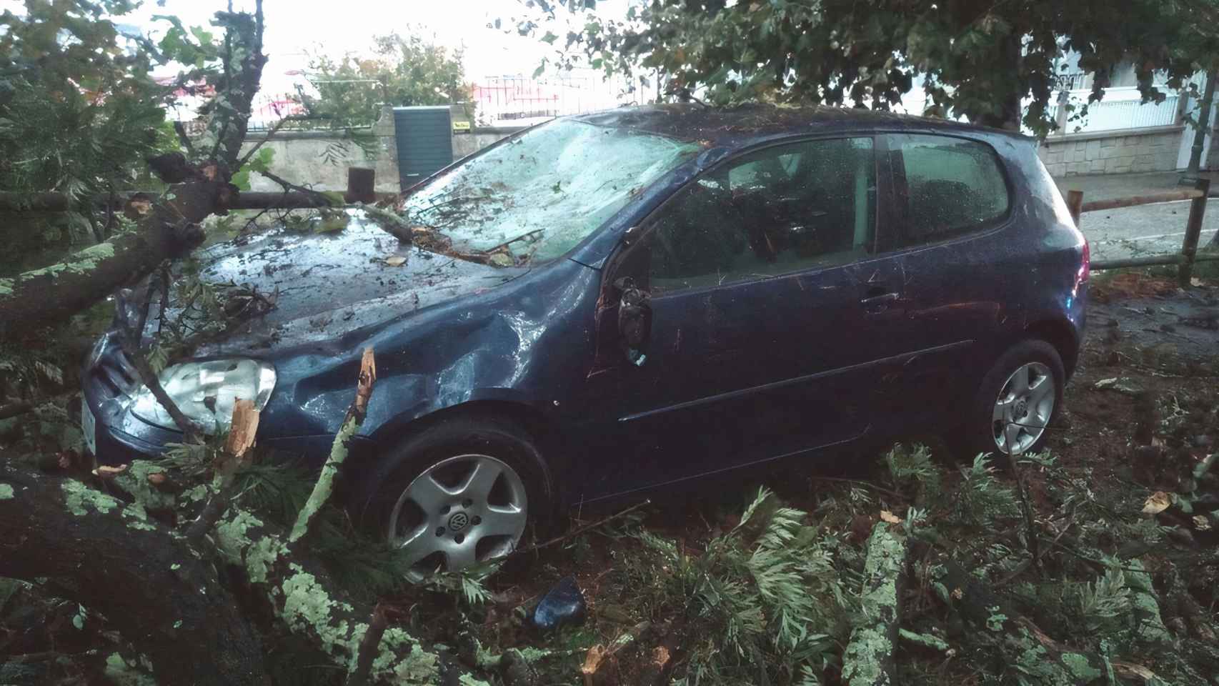 La tormenta deja en Vigo varios árboles caídos y un coche afectado