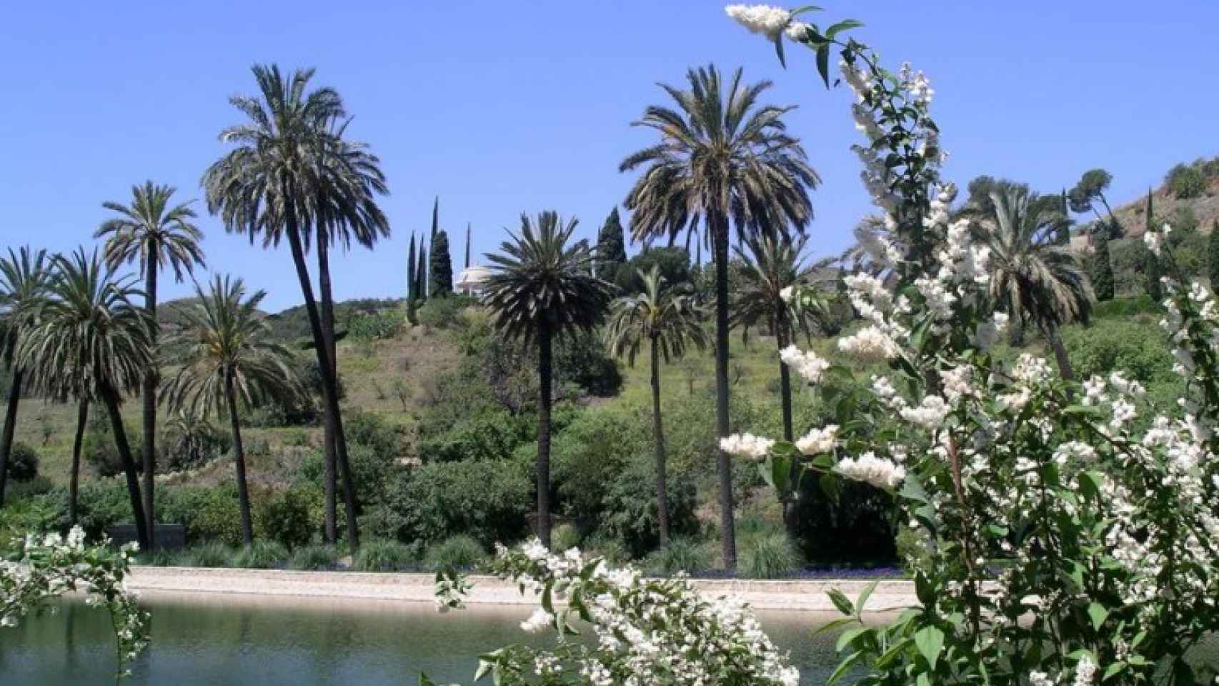 Imagen del jardín botánico de La Concepción, en Málaga.