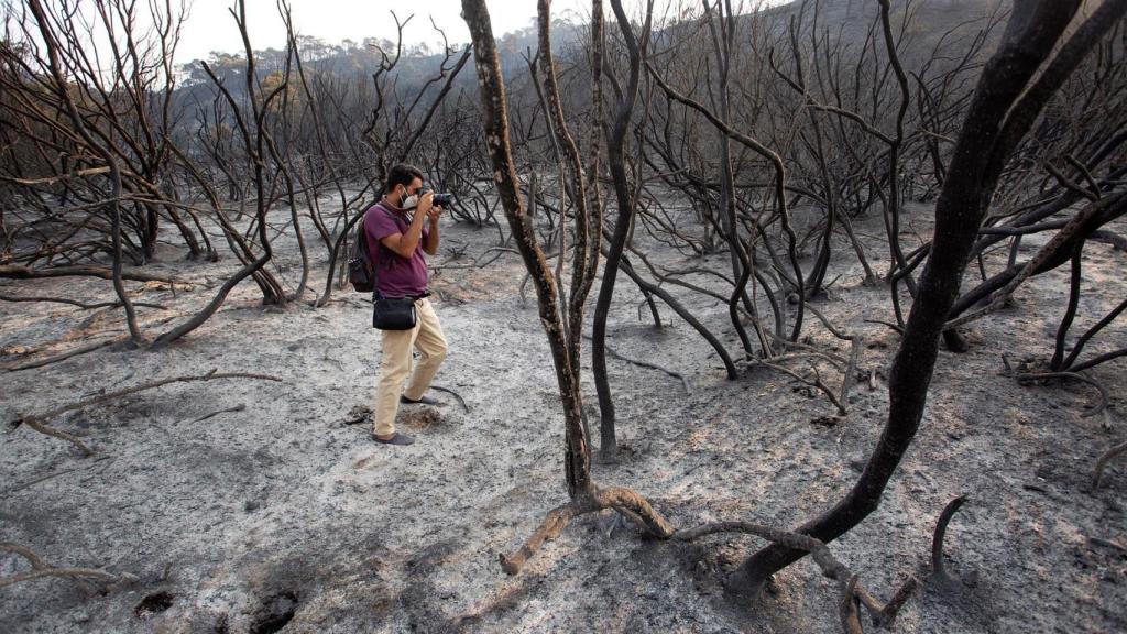 Imagen del incendio en Sierra Bermeja, en Málaga.