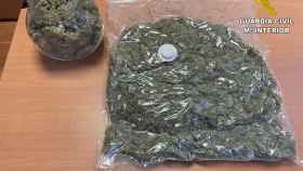 Marihuana intervenida por la Guardia Civil. Foto de recurso.