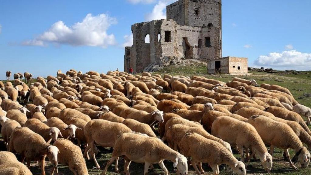 El castillo de Teba es un de los más grandes de la provincia.