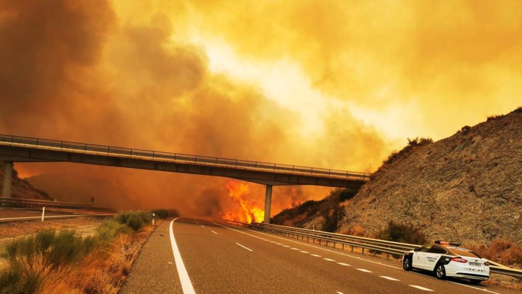 Incendio de Sierra Bermeja (Málaga). Foto: Guardia Civil