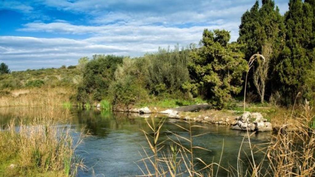 Parque Natural de la Marjal de Pego-Oliva.