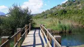El Parque Natural de la Marjal de Pego-Oliva es una zona húmeda situada entre las provincias de Alicante y Valencia.