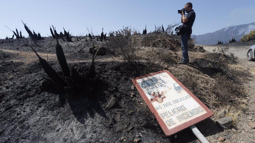 Parajes quemados por el incendio en Málaga.