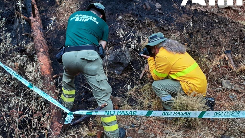 Trabajos de la investigación para esclarecer el origen del fuego de Sierra Bermeja.