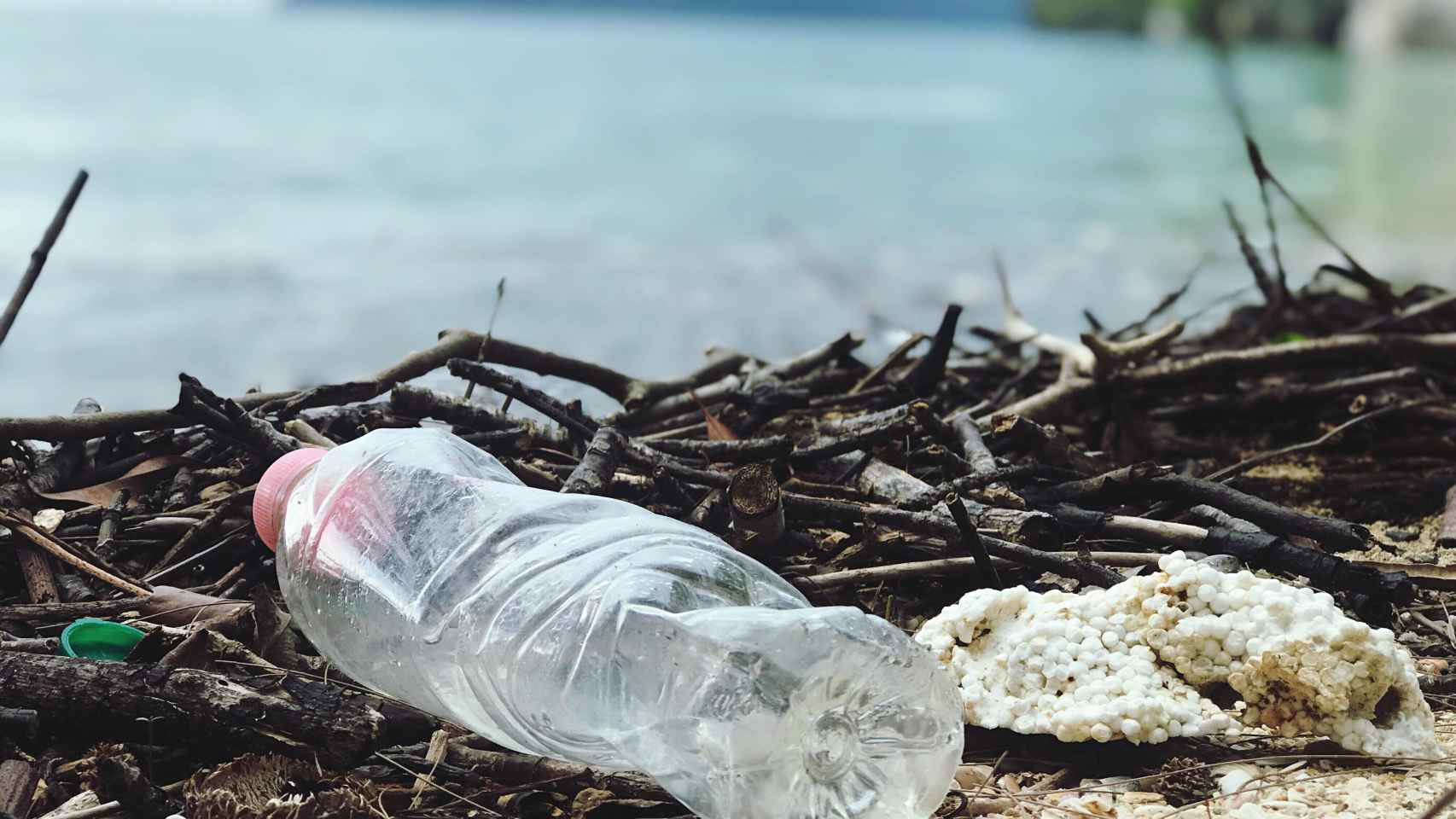 Los ecosistemas marinos sufren el efecto de no reciclar los plásticos