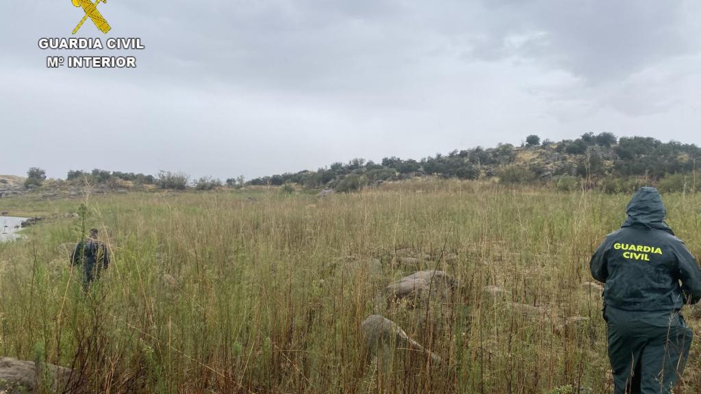 Batidas en los  alrededores del Guajaraz, en Argés (Toledo)