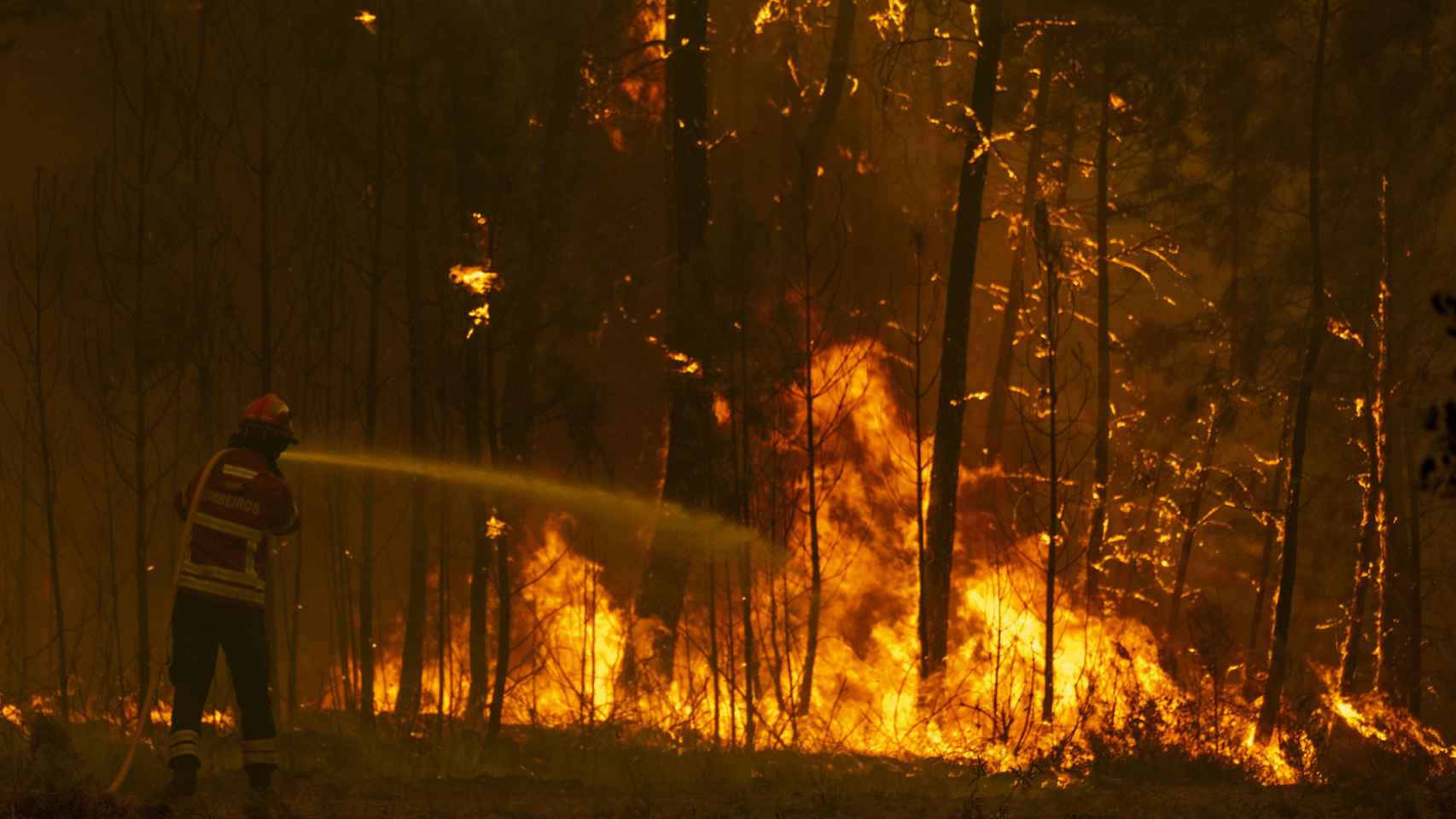 Los bomberos intentan extinguir un incendio forestal