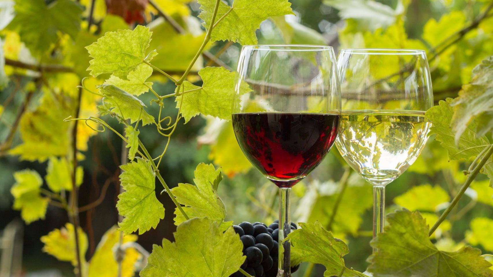 Cuenta atrás para el i festival gastrogarnacha: estos son los más de 40 establecimientos que participan